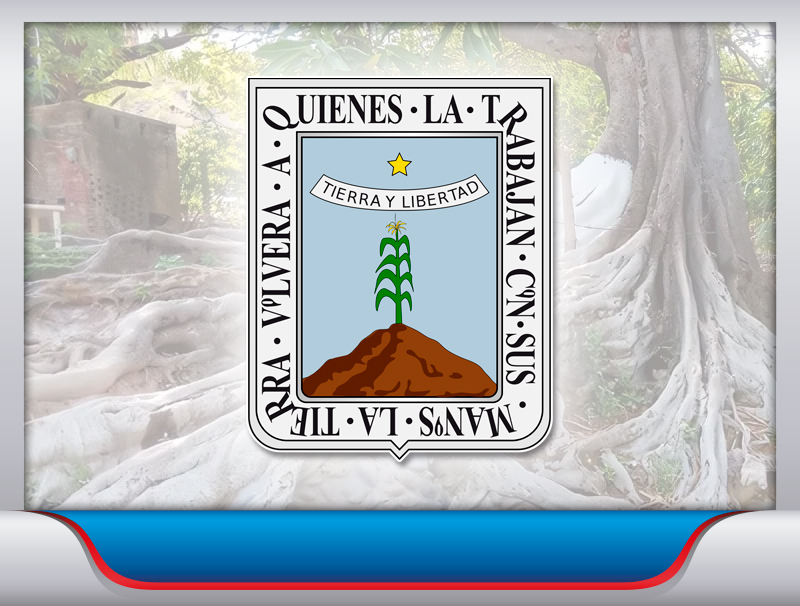 Fletes de la Ciudad de México a Morelos