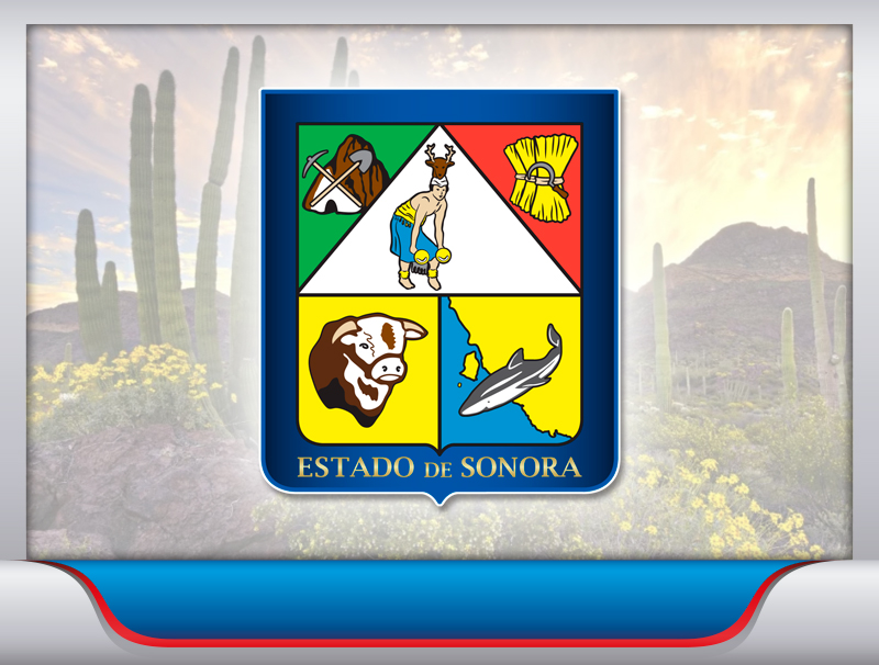 Fletes de la Ciudad de México a Sonora