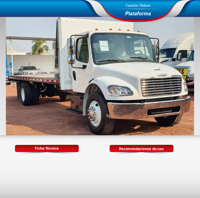 Fletes en camión rabon plataforma